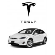 Tesla X